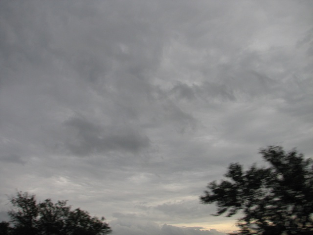 2009/10(October)/Misc/640x480_20100206 570.JPG